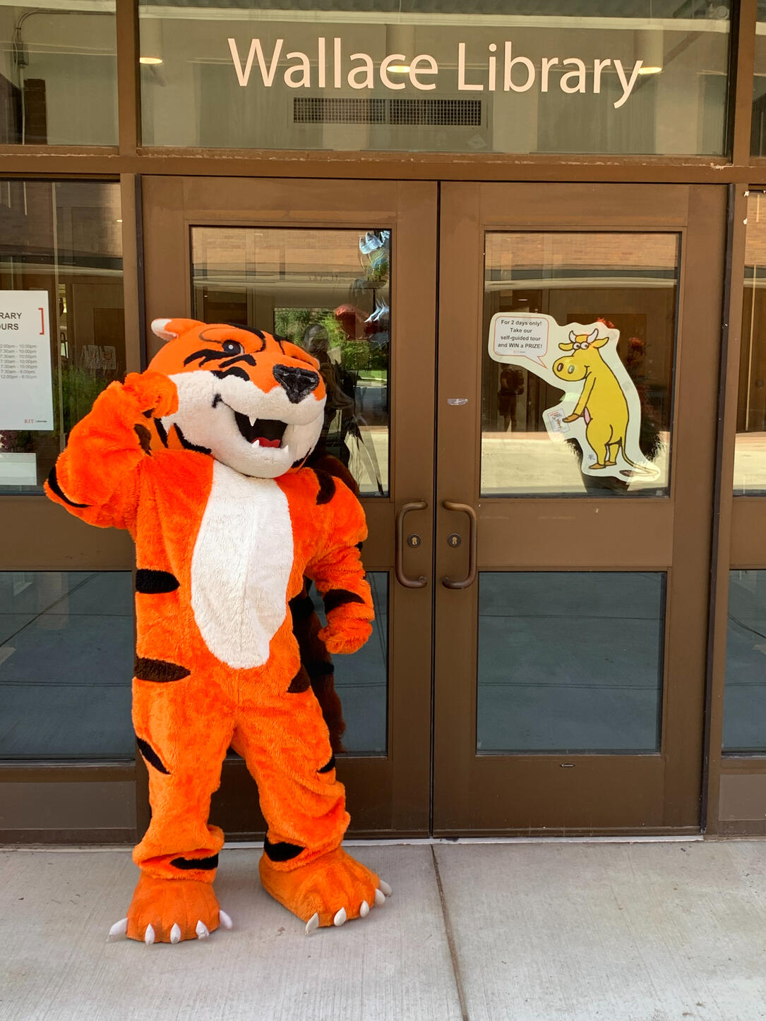 an orange tiger mascot stands in front of glass doors with one arm in a pumped up pose
