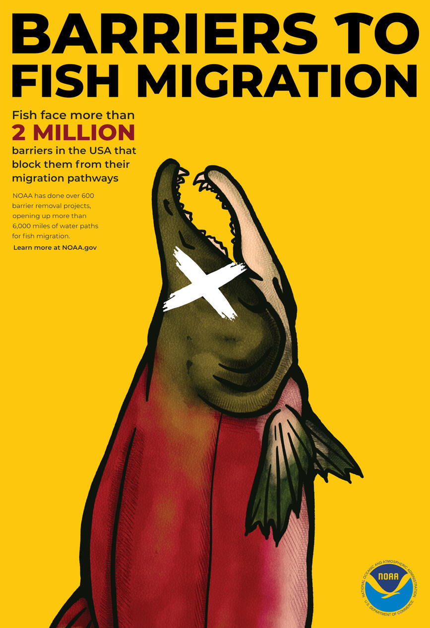 barriers to fish migration