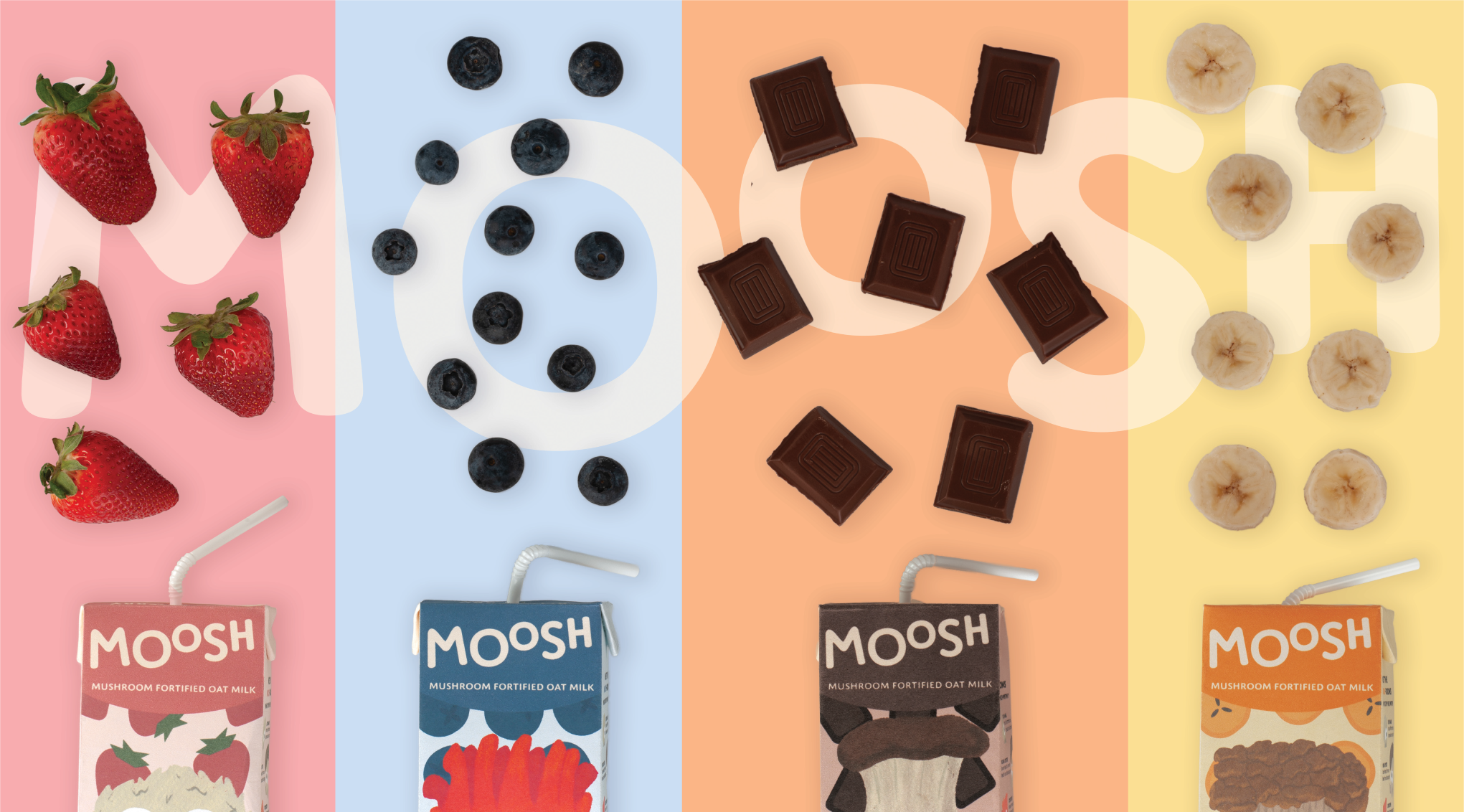 image shows the four flavors of moosh, strawberry, blueberry, chocolate, and banana with their cartons and respective food items