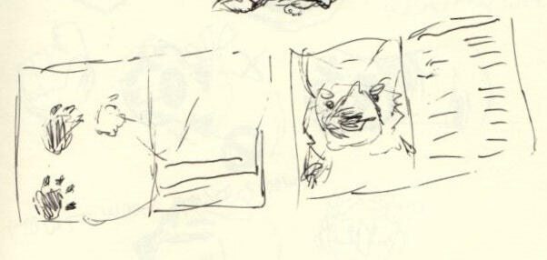 article spread sketches