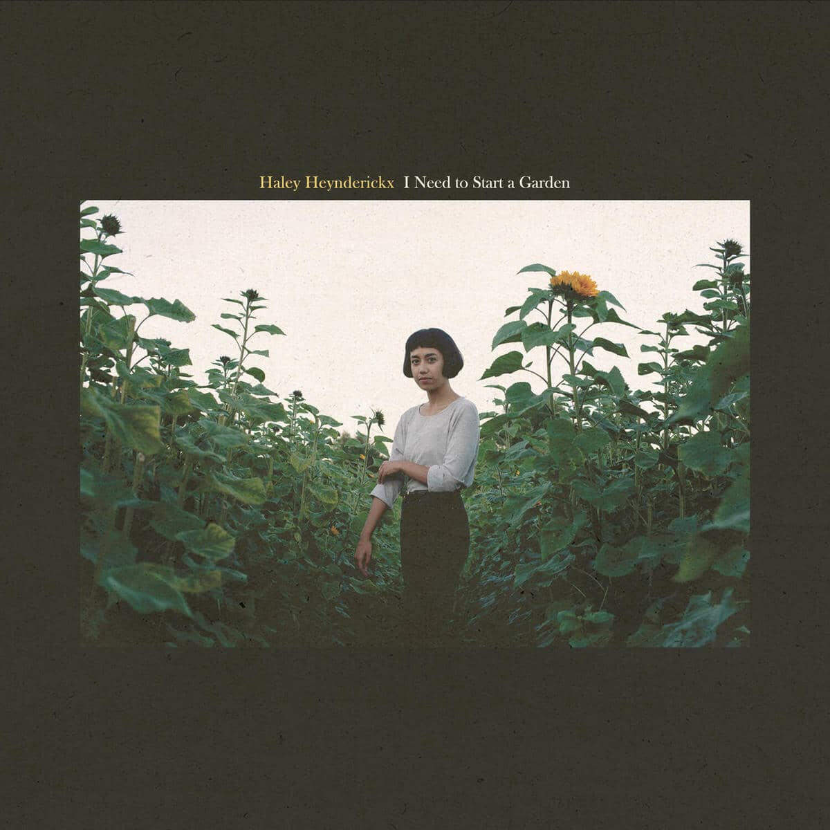 i need to start a garden - haley heynderickx (photo. alessandra leimer & des. vincent bancheri)