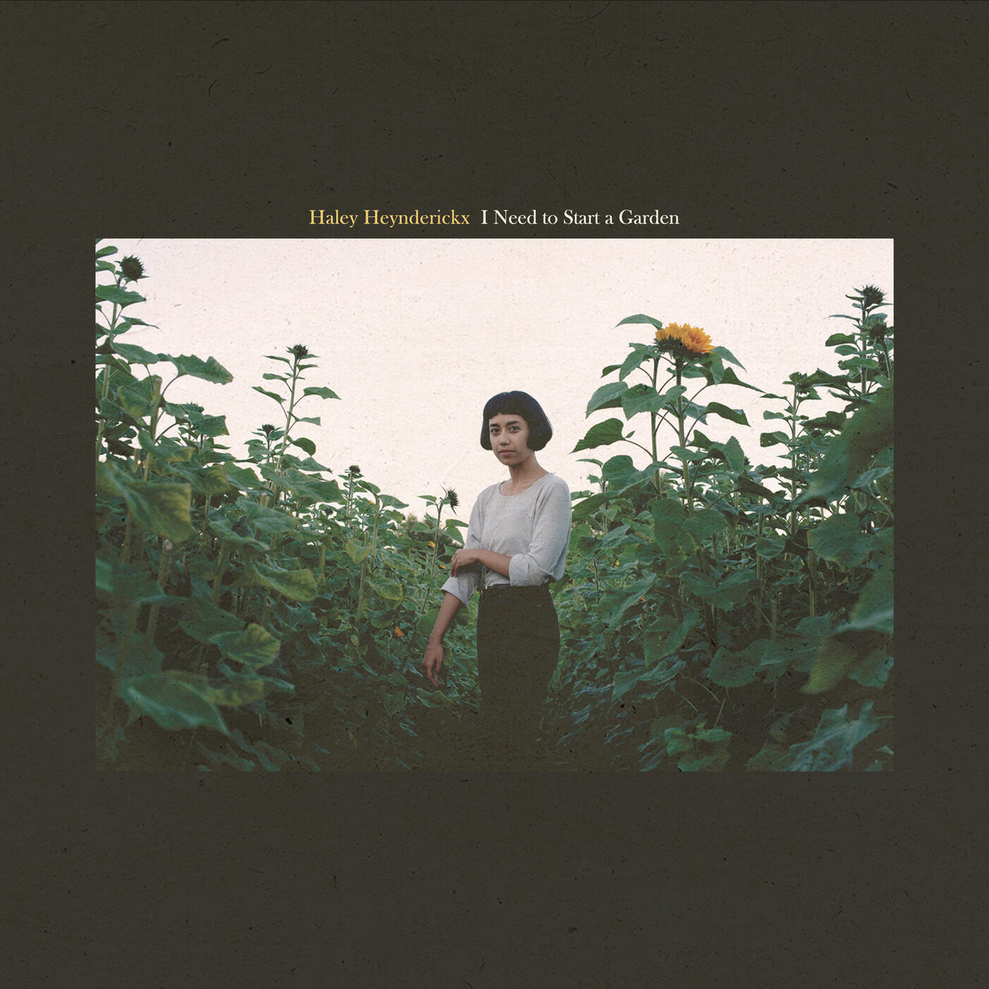 i need to start a garden - haley heynderickx (photo. alessandra leimer &amp; des. vincent bancheri)