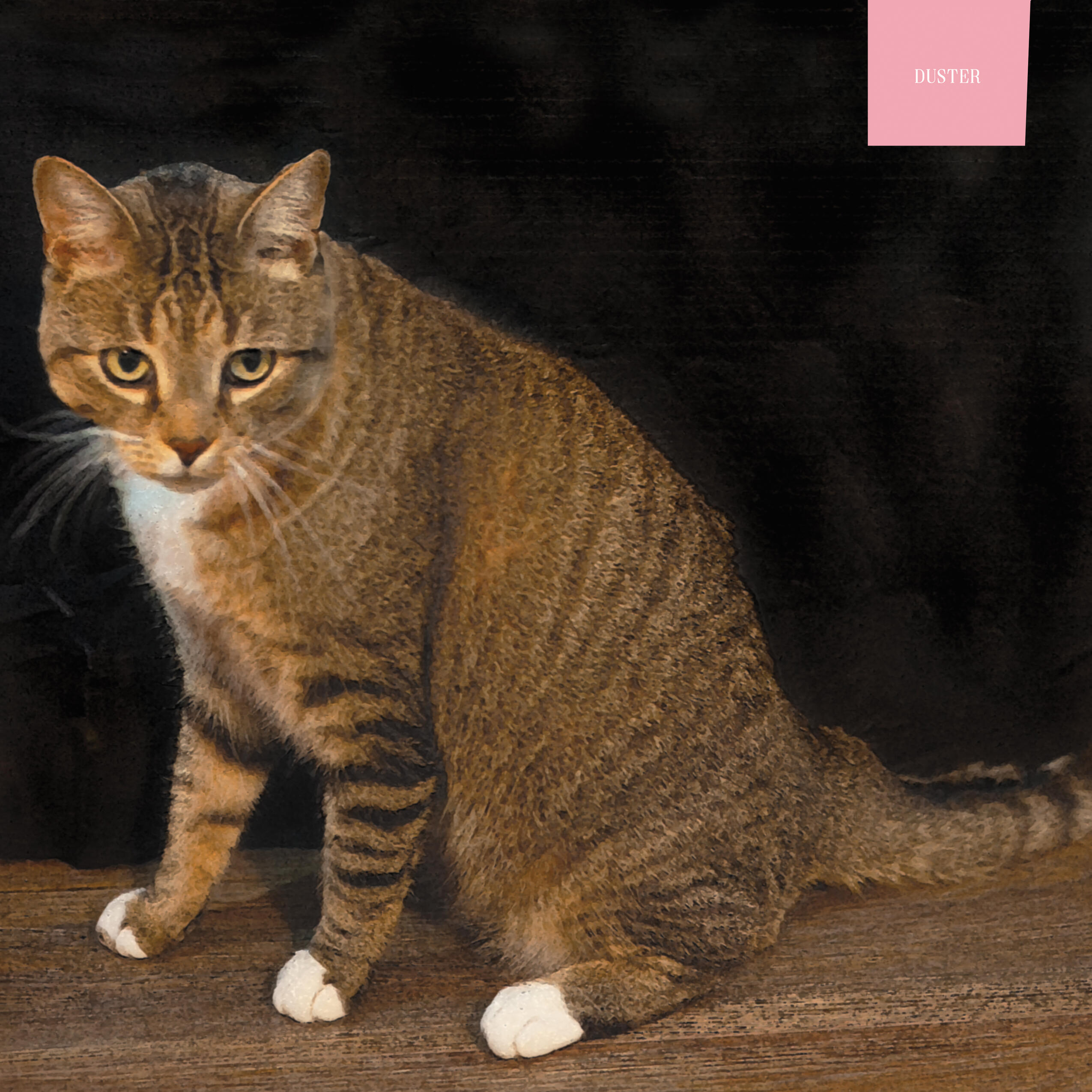 duster - lyle o. lewis (model. steve the cat)