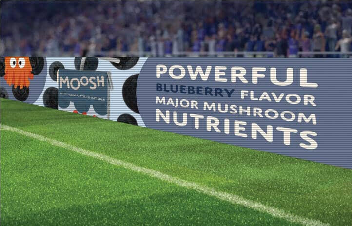 in-stadium banner advertisement