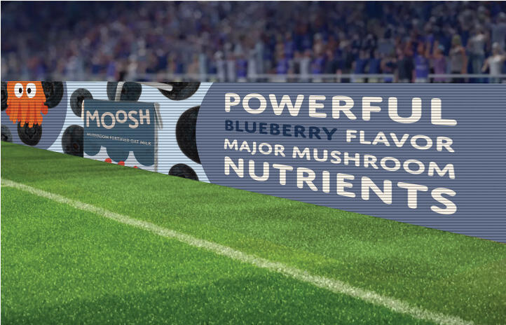 in-stadium banner advertisement