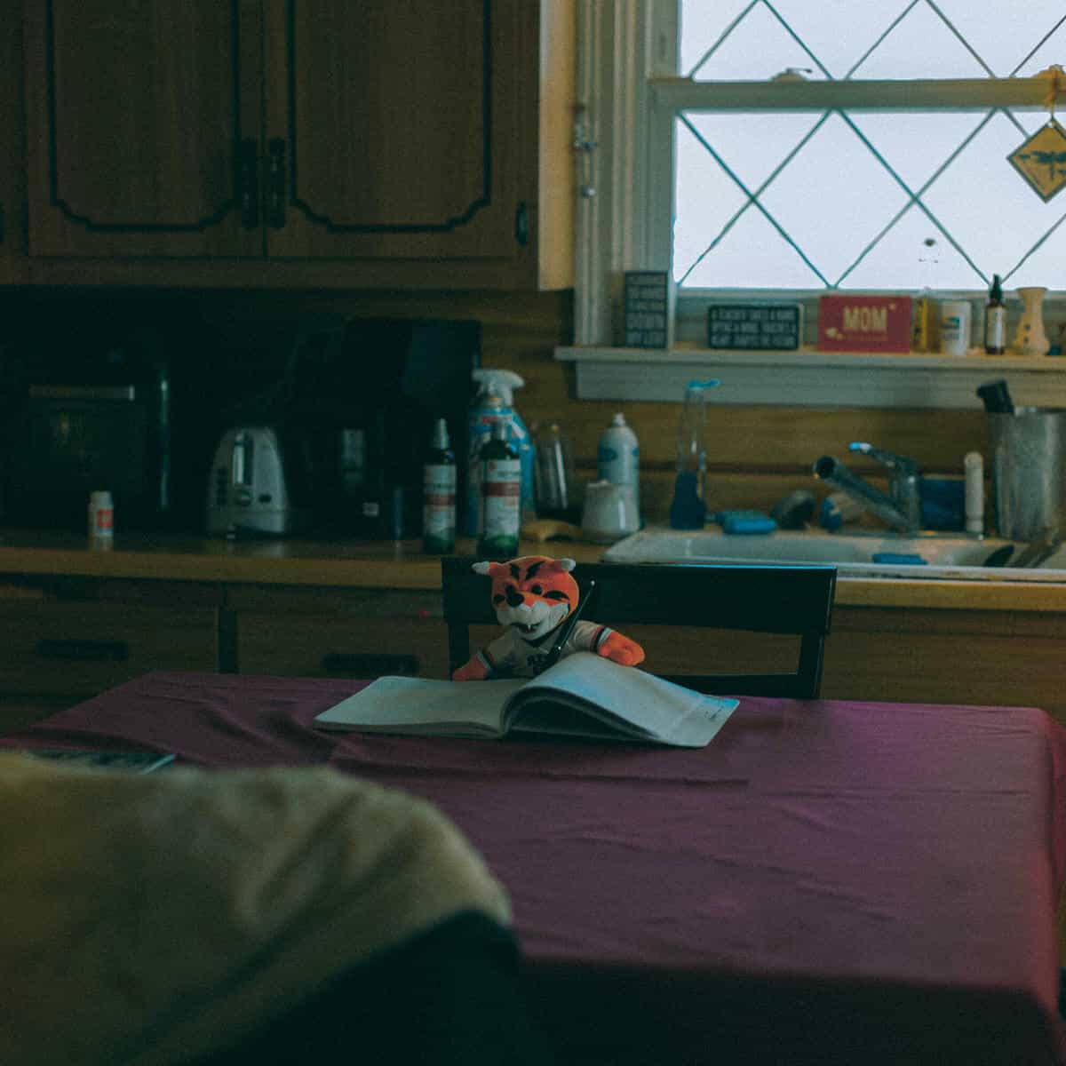 Untitled