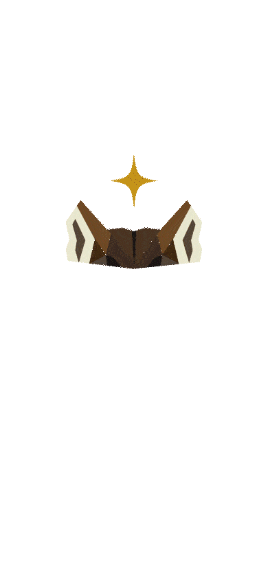 splash screen loader