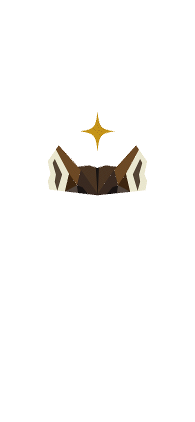 splash screen loader