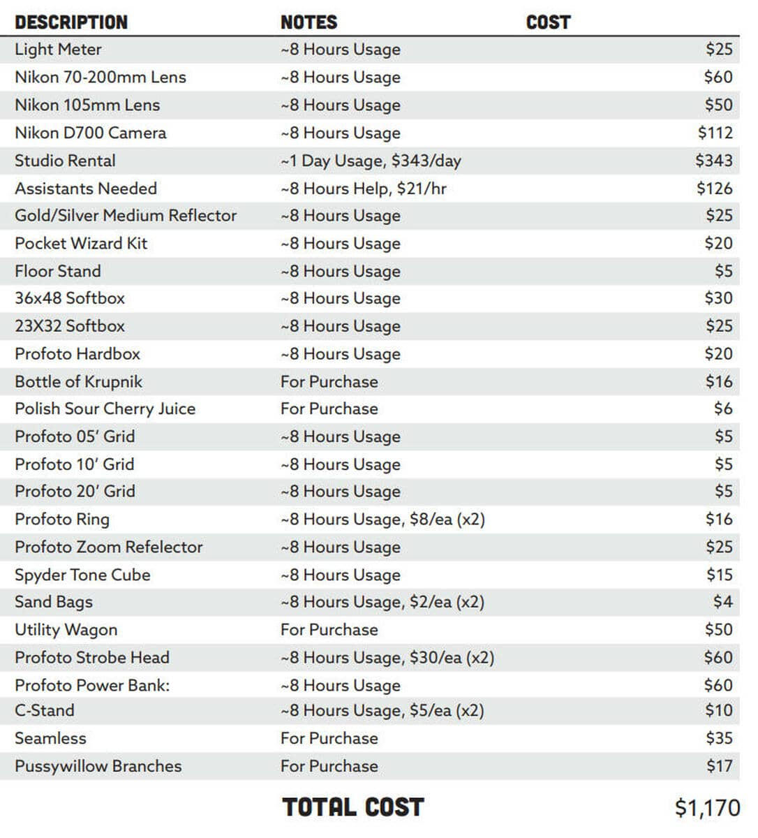 photoshoot expense report