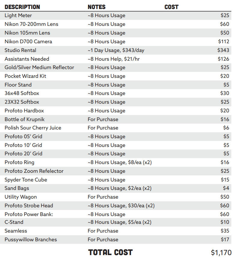 photoshoot expense report